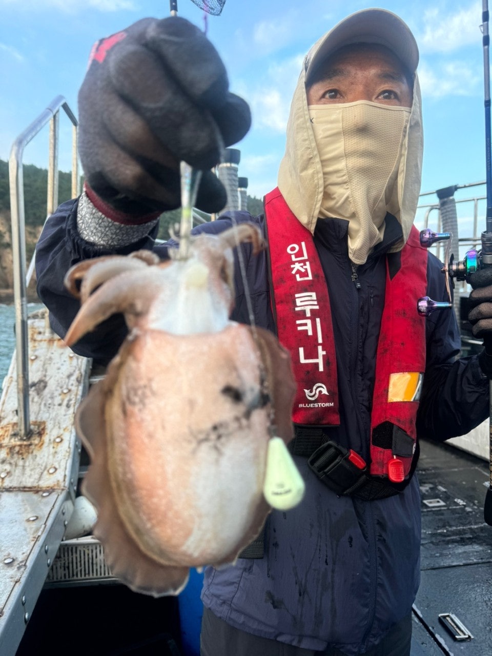 사용자가 올린 이미지