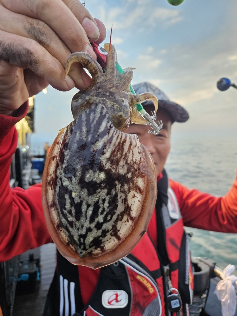 사용자가 올린 이미지