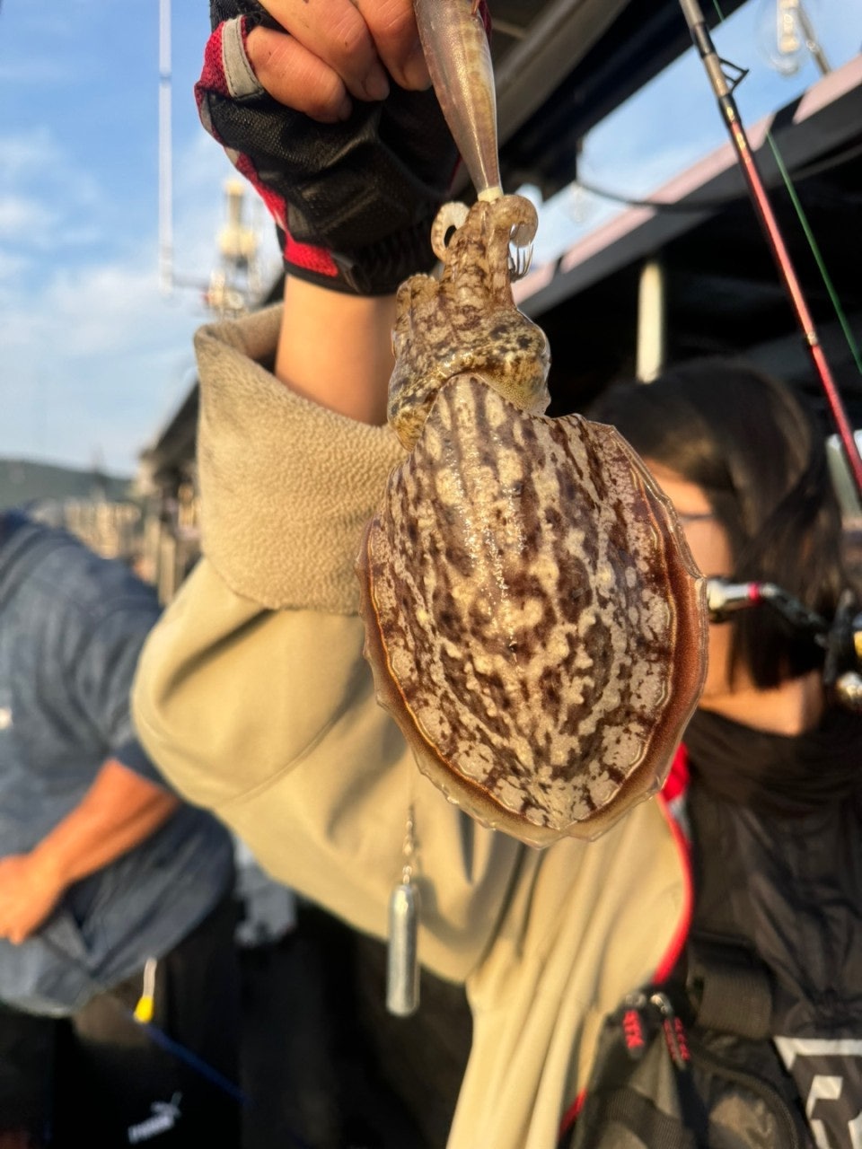 사용자가 올린 이미지