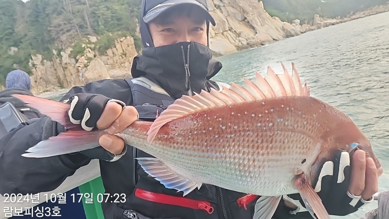 사용자가 올린 이미지
