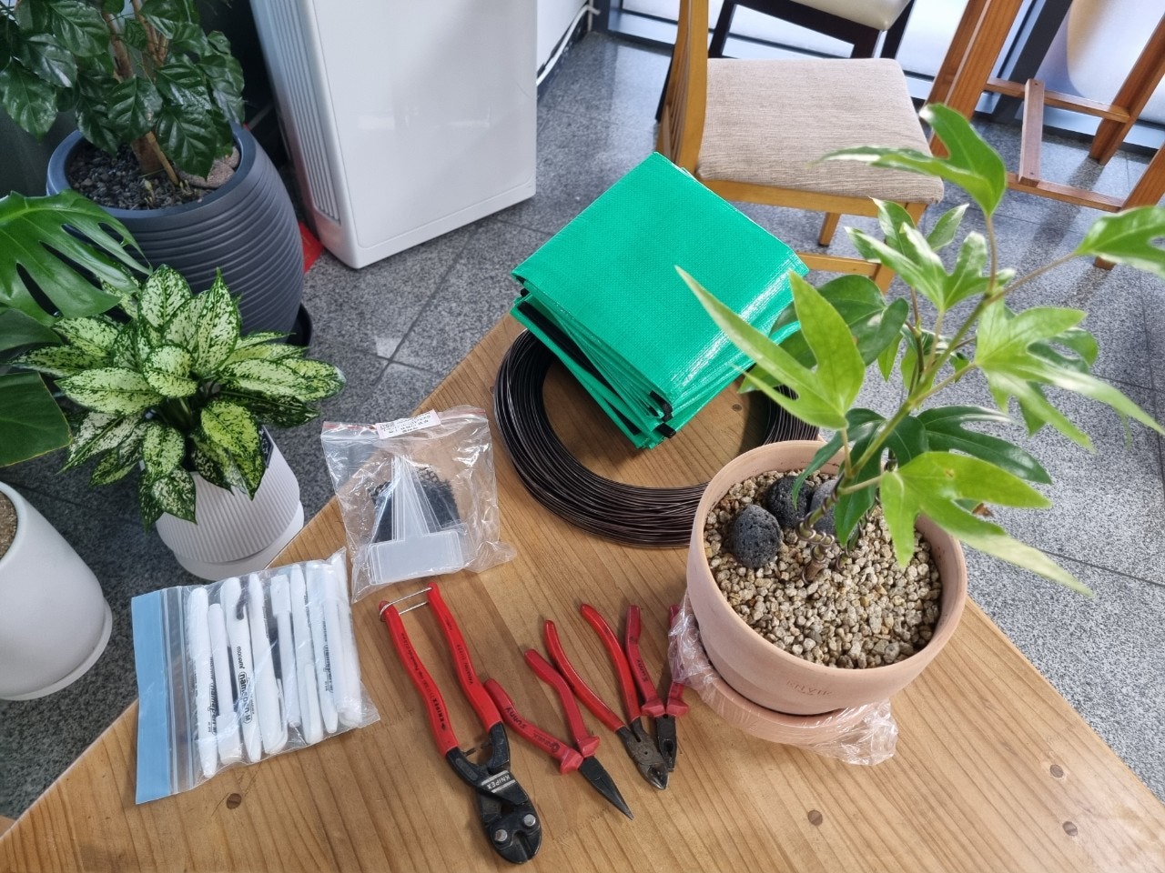 사용자가 올린 이미지
