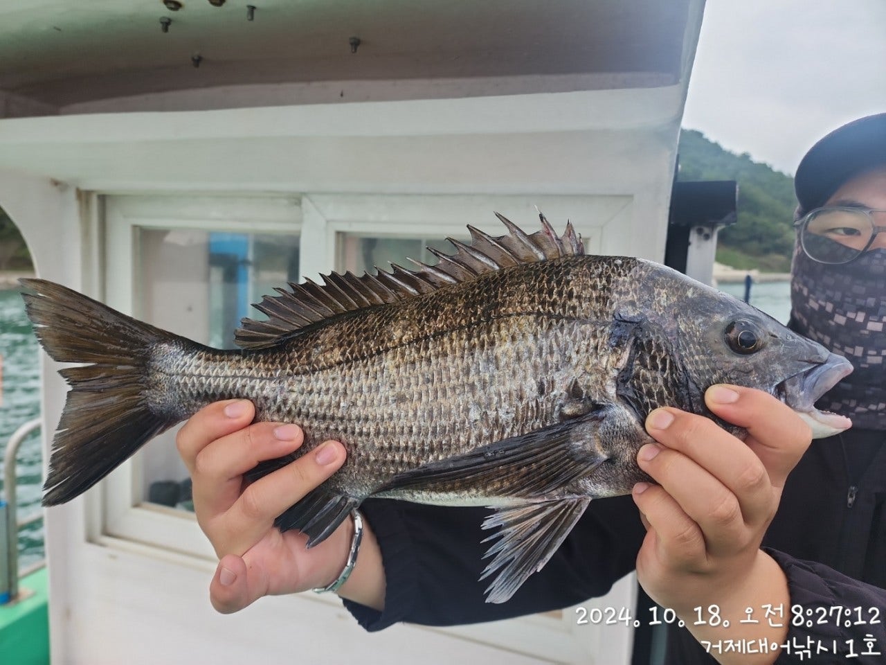 사용자가 올린 이미지