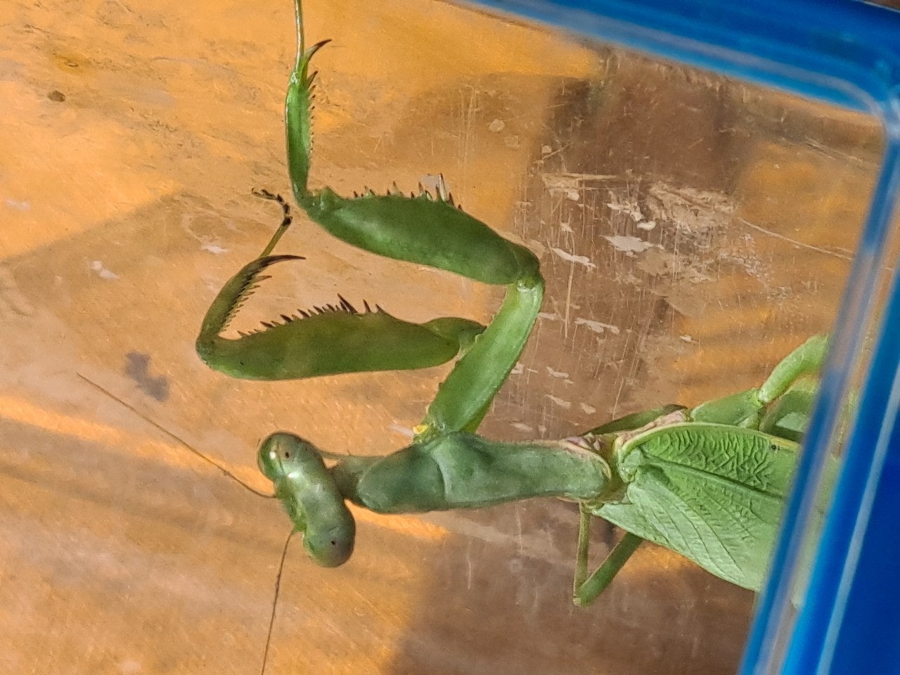 사용자가 올린 이미지