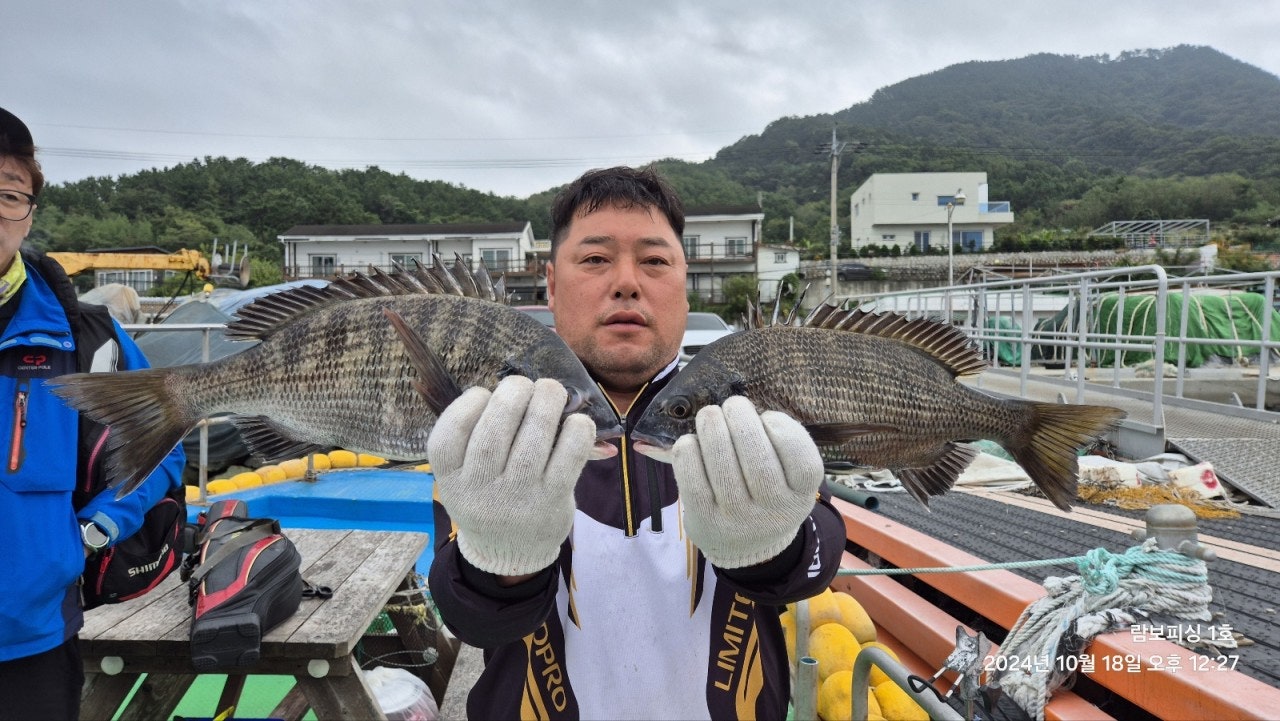 사용자가 올린 이미지