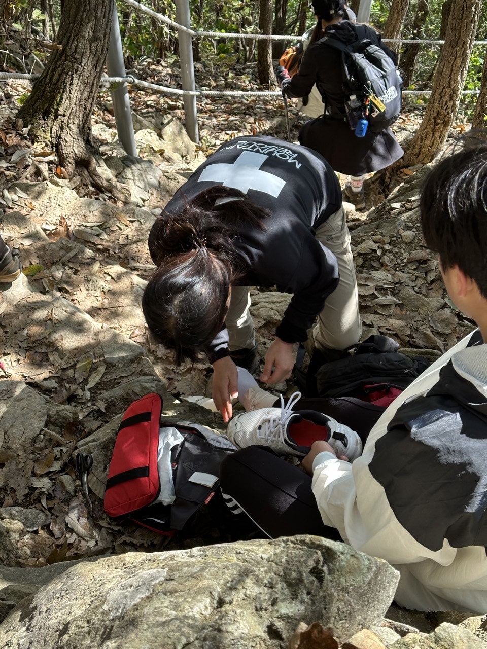 사용자가 올린 이미지