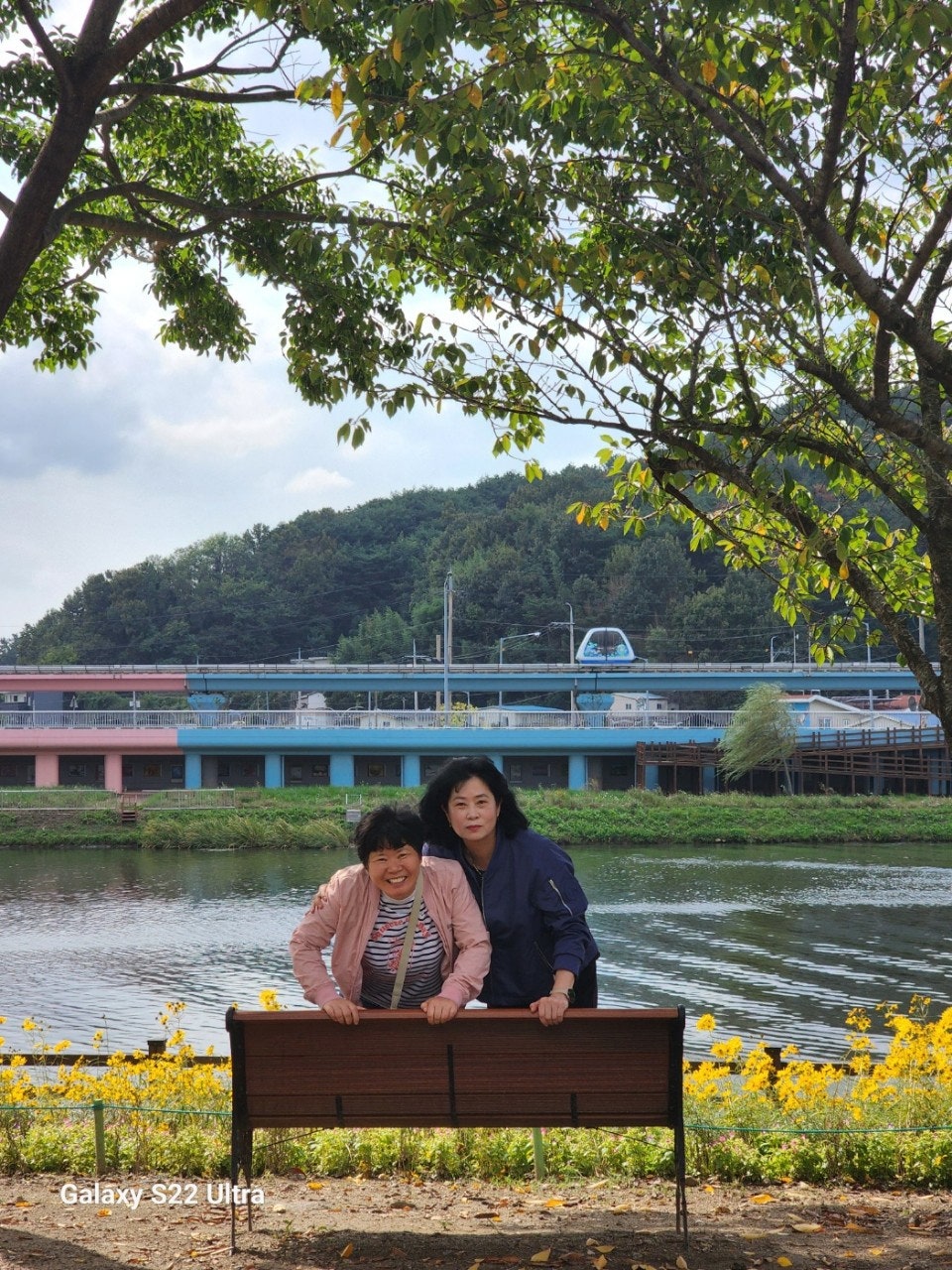 사용자가 올린 이미지