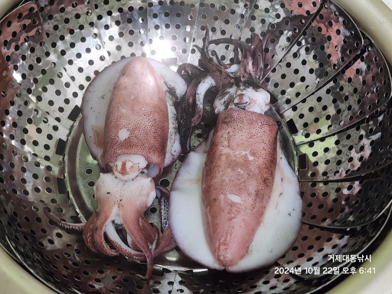 사용자가 올린 이미지