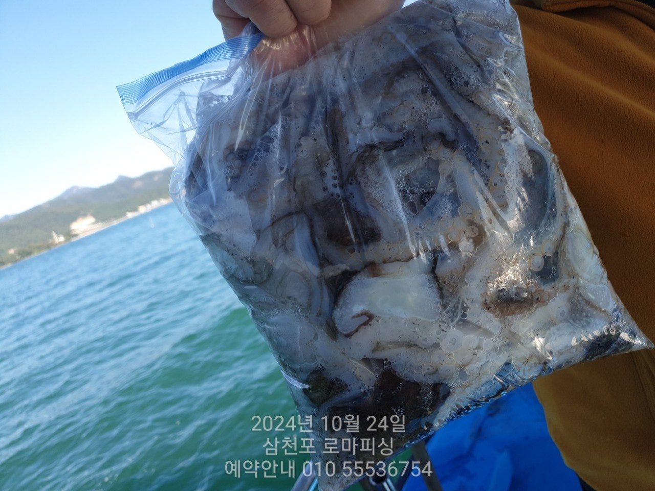 사용자가 올린 이미지
