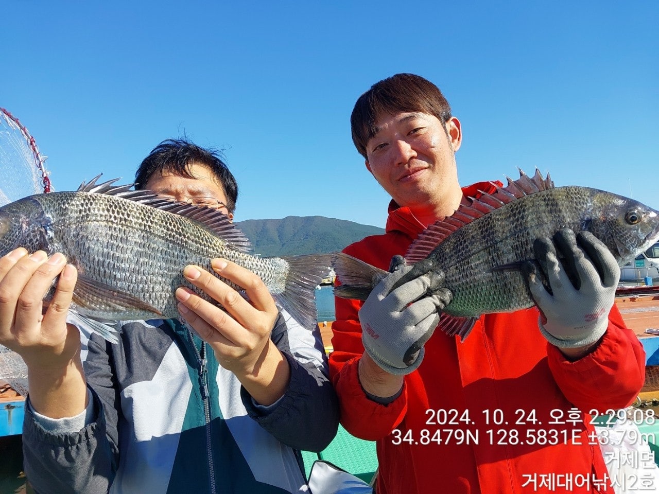 사용자가 올린 이미지