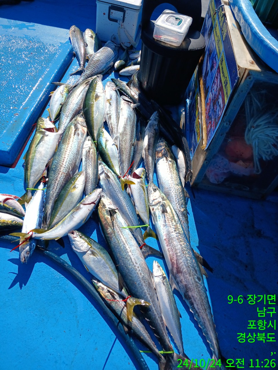 j_235Ud018svciso0bi8as2hd_9bt2m0.jpg