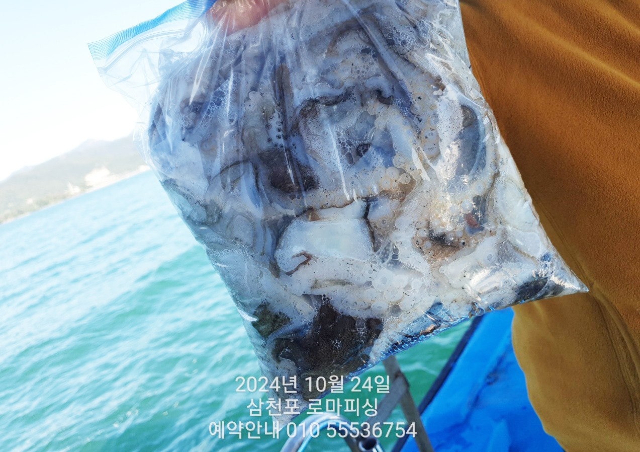 사용자가 올린 이미지