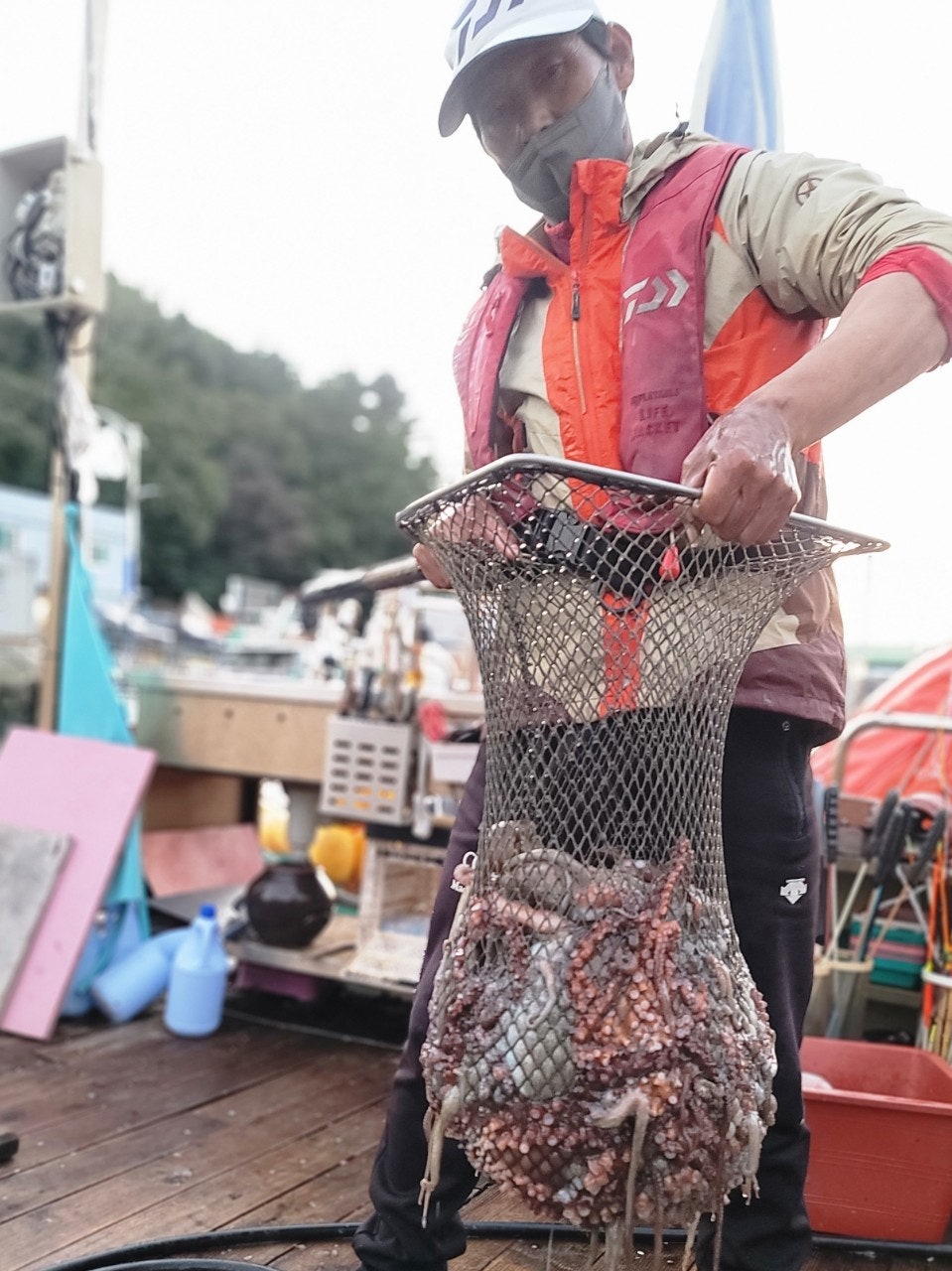 사용자가 올린 이미지