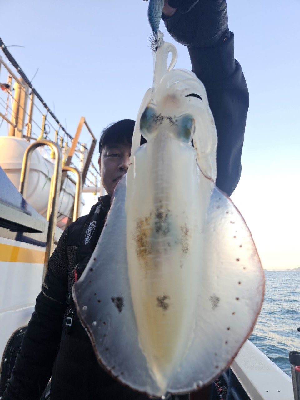 사용자가 올린 이미지