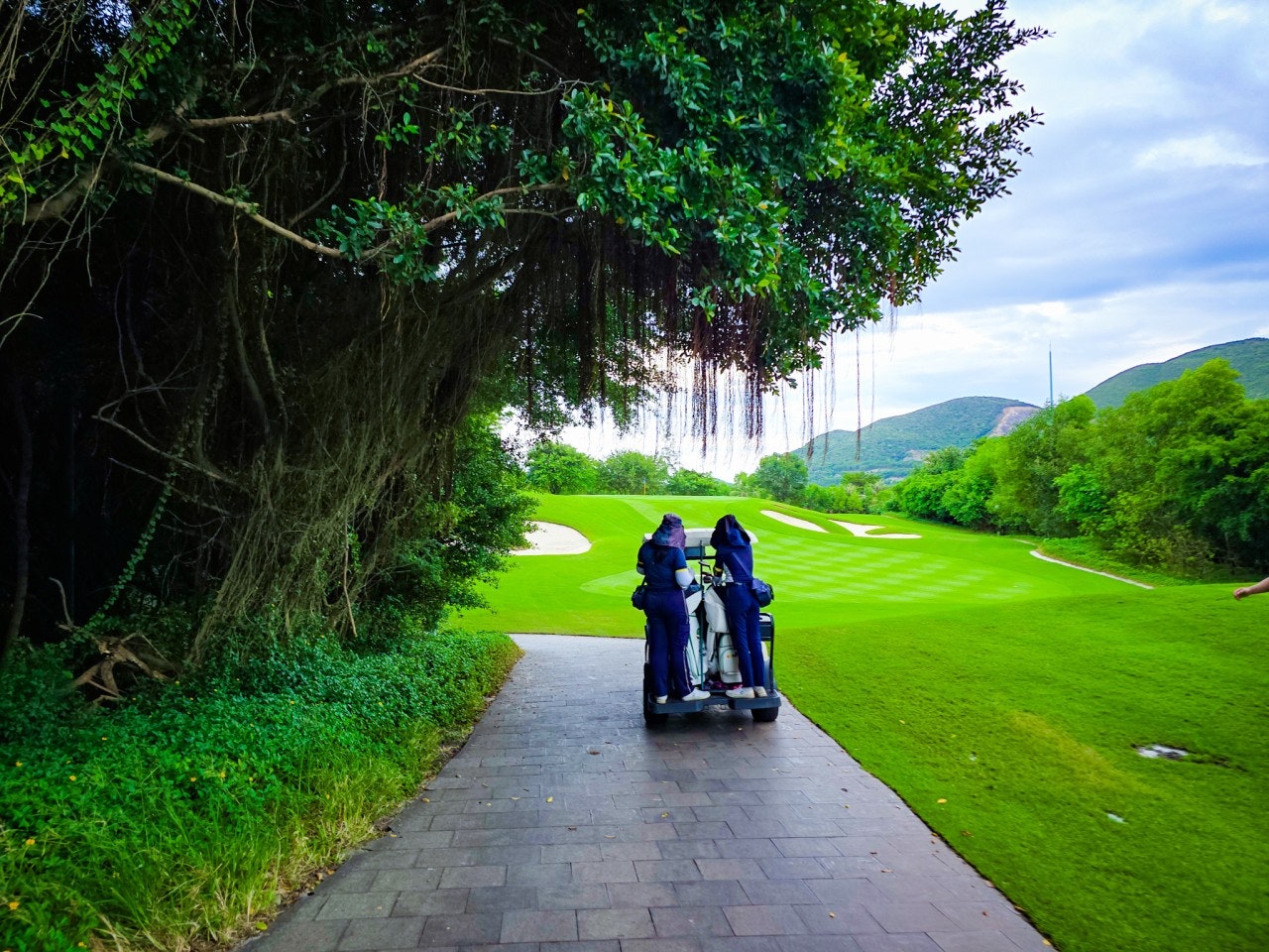 사용자가 올린 이미지