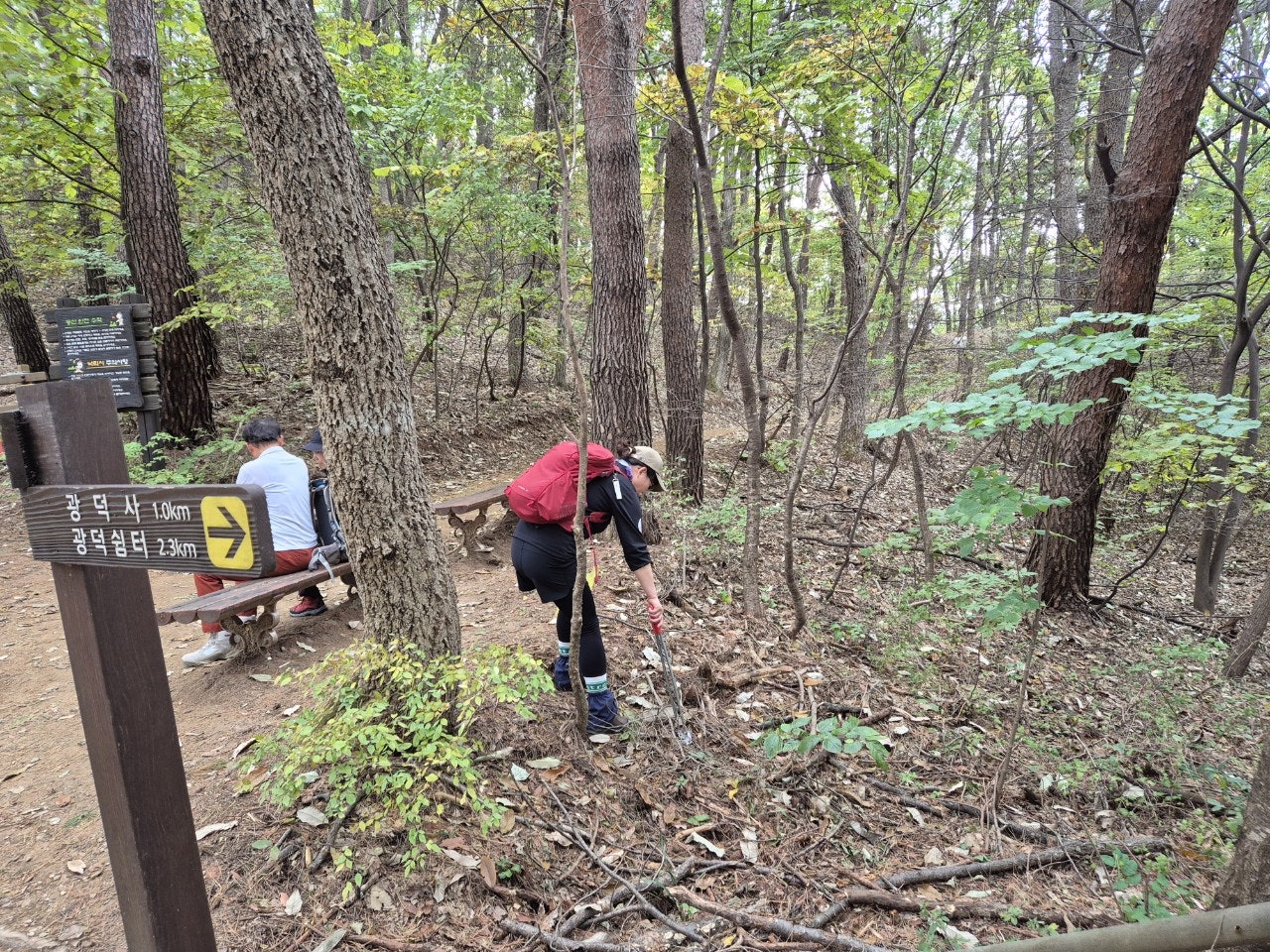 사용자가 올린 이미지