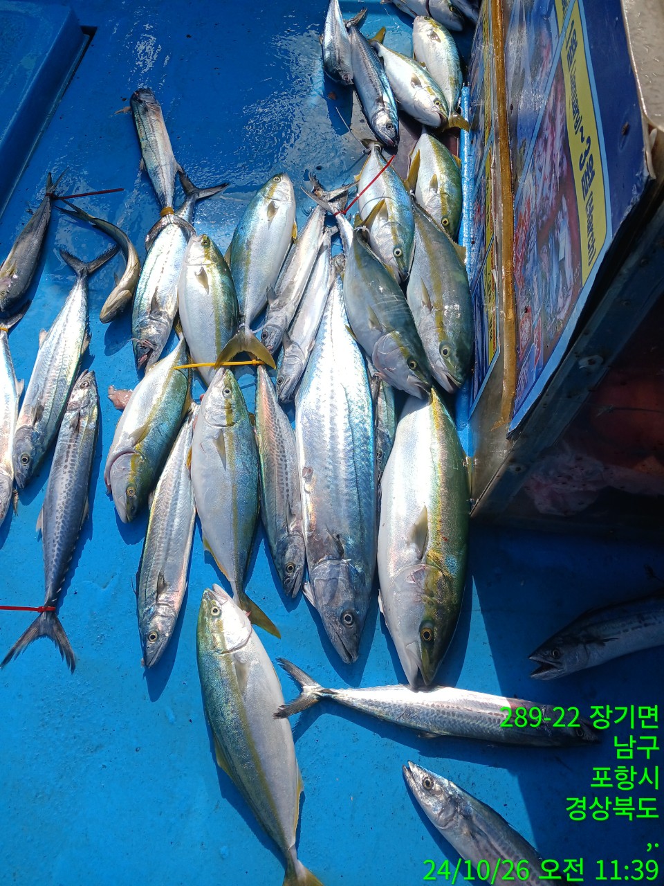 e_848Ud018svc9goooyzs50gh_9bt2m0.jpg