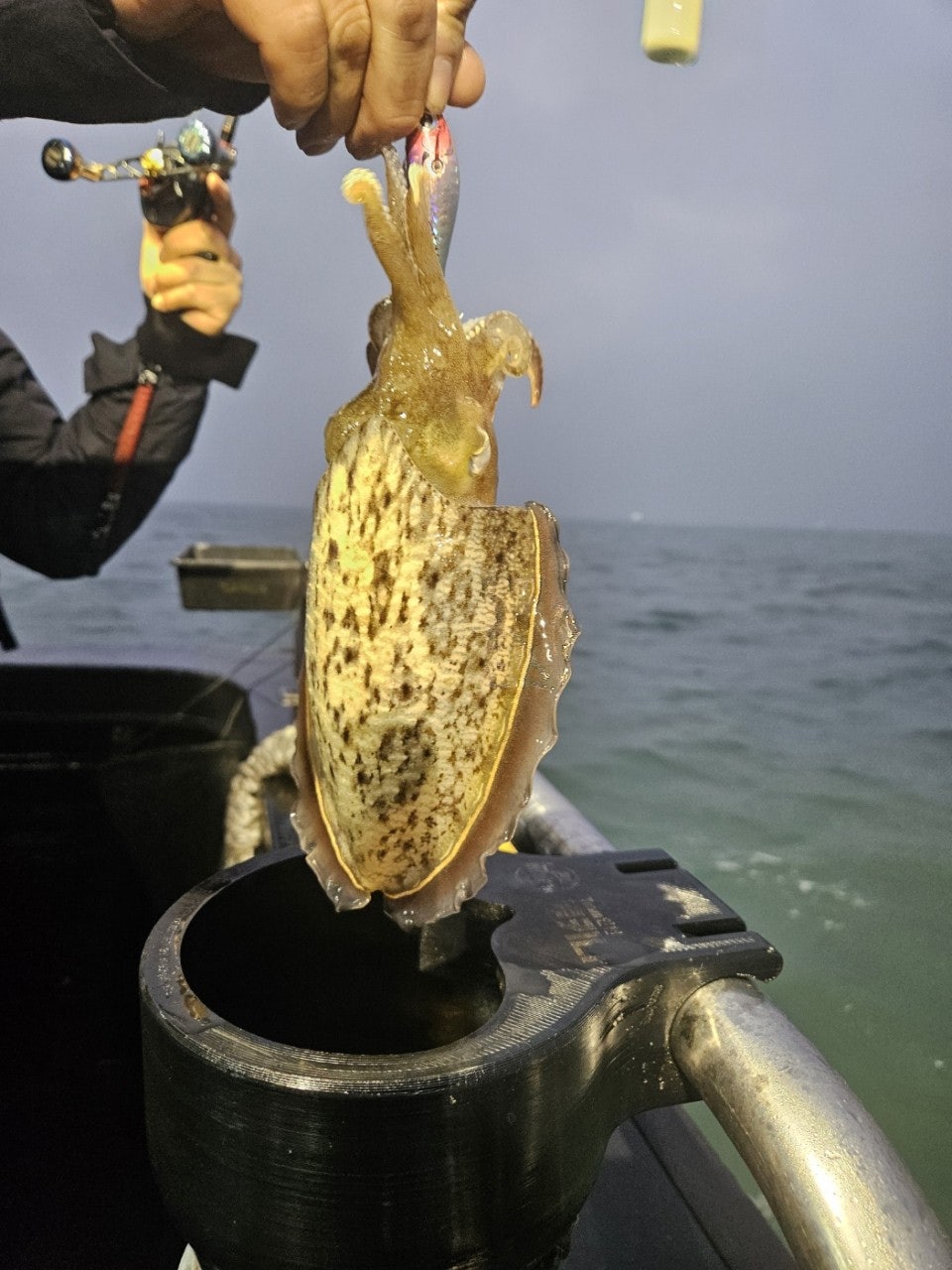 사용자가 올린 이미지