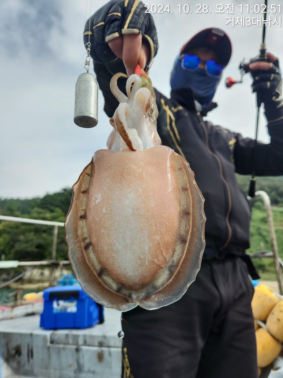 사용자가 올린 이미지