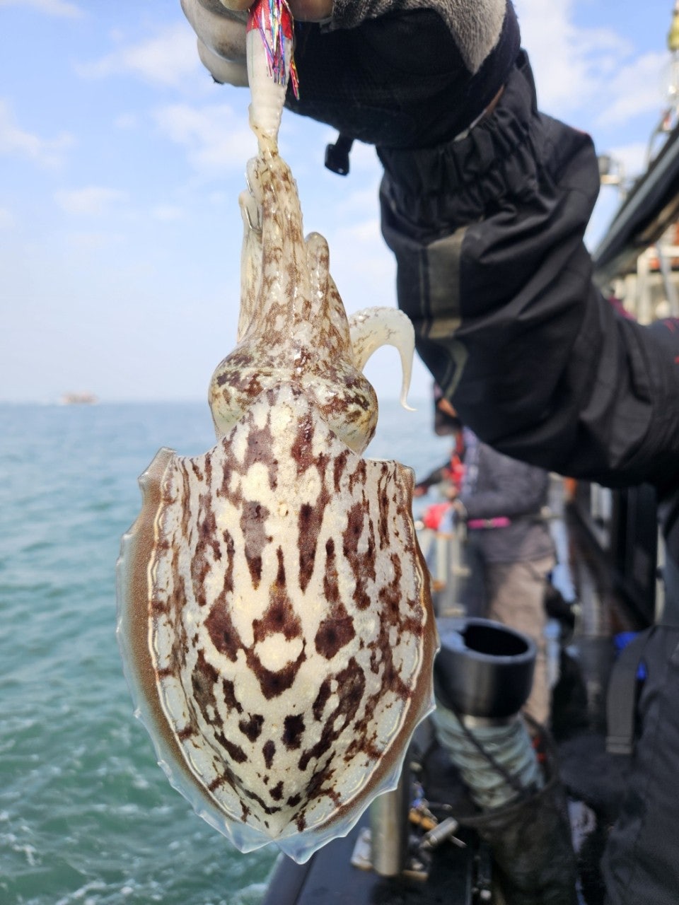 사용자가 올린 이미지