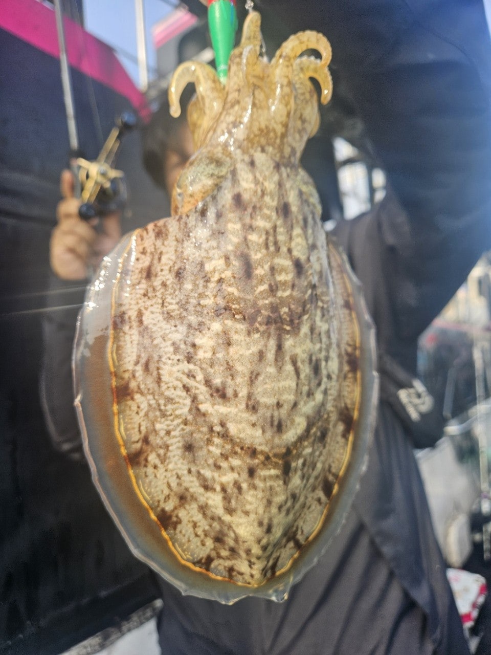 사용자가 올린 이미지