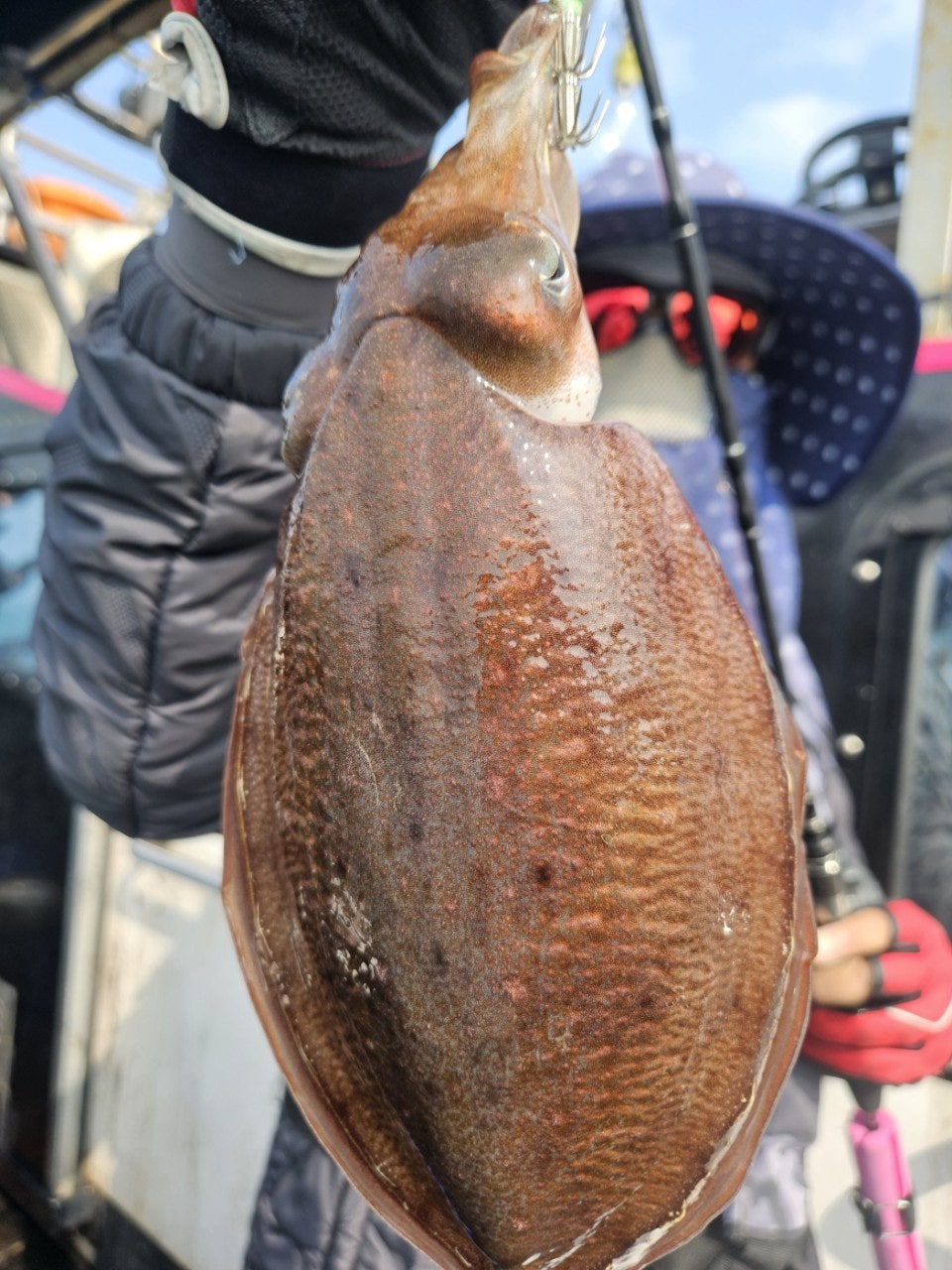 사용자가 올린 이미지