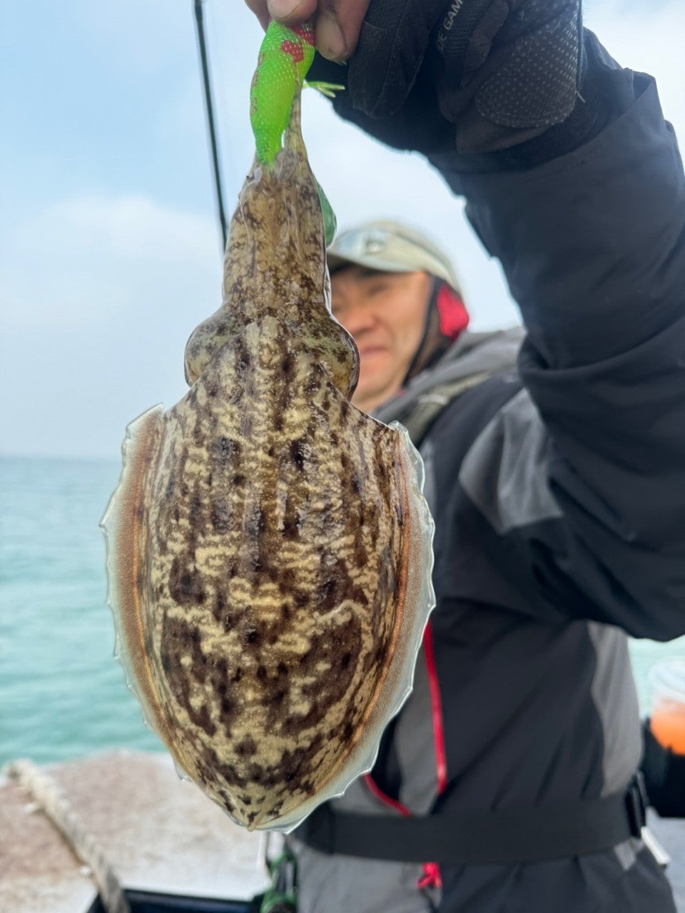 사용자가 올린 이미지