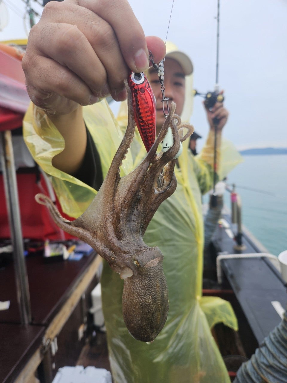 사용자가 올린 이미지