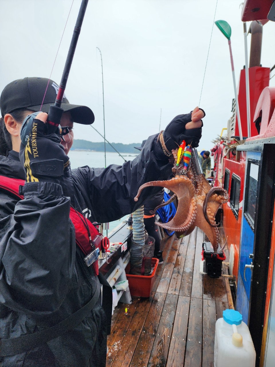 사용자가 올린 이미지