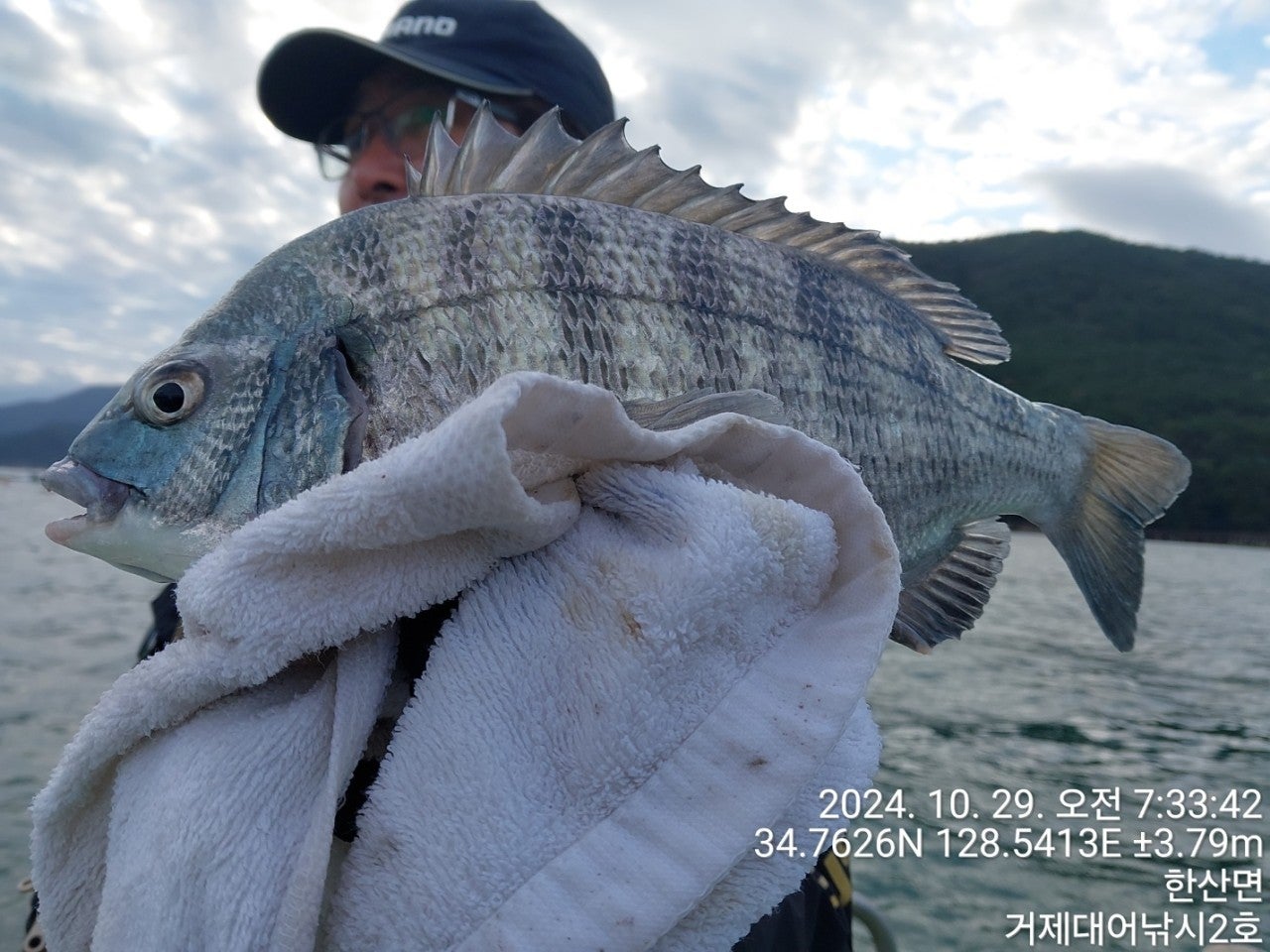 사용자가 올린 이미지