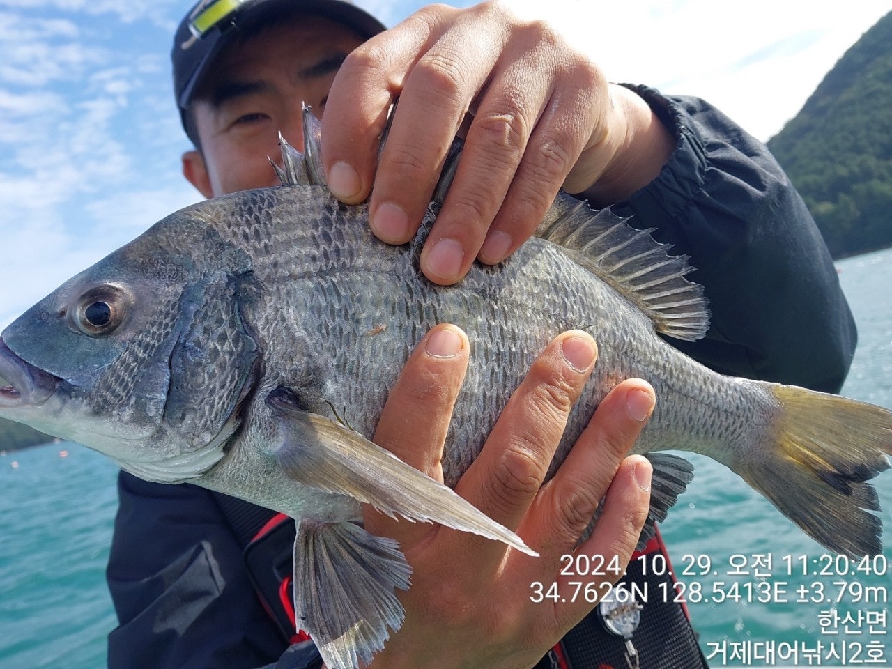 사용자가 올린 이미지