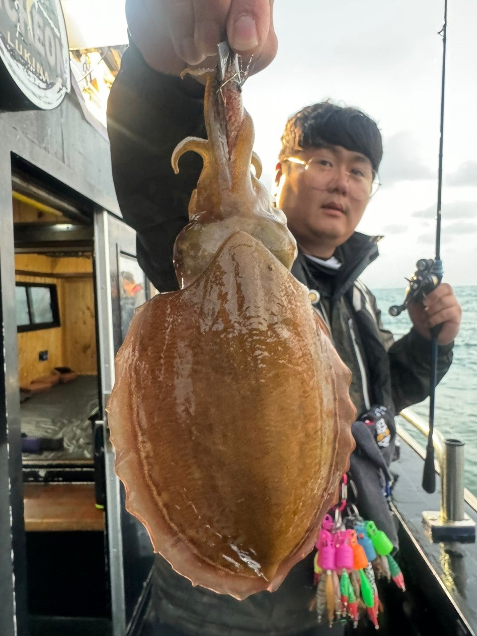 사용자가 올린 이미지