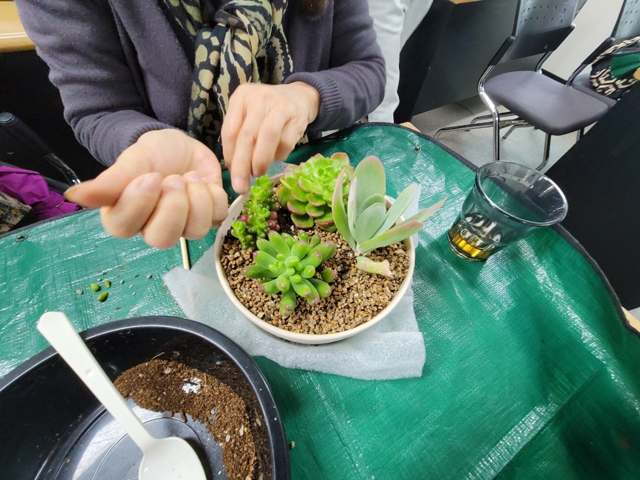 사용자가 올린 이미지