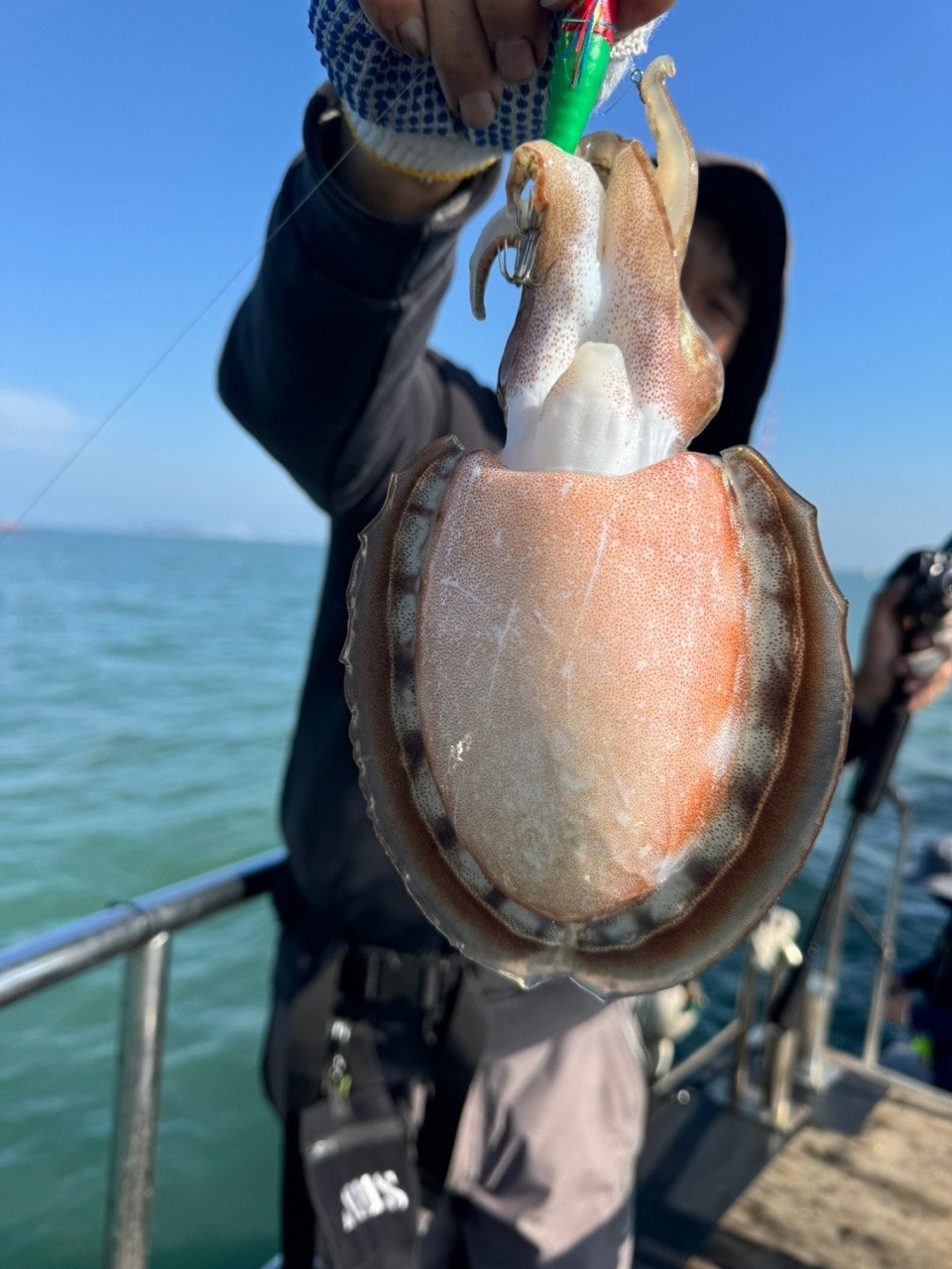 사용자가 올린 이미지