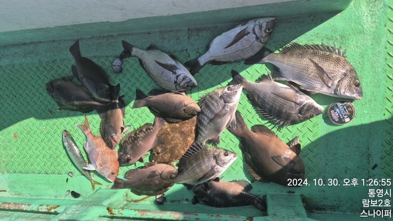 사용자가 올린 이미지