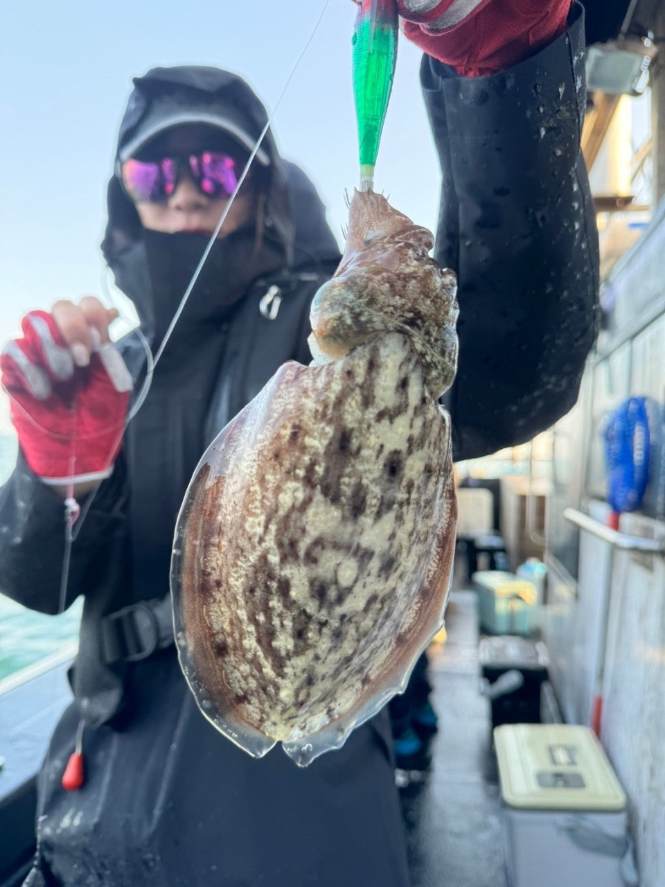 사용자가 올린 이미지