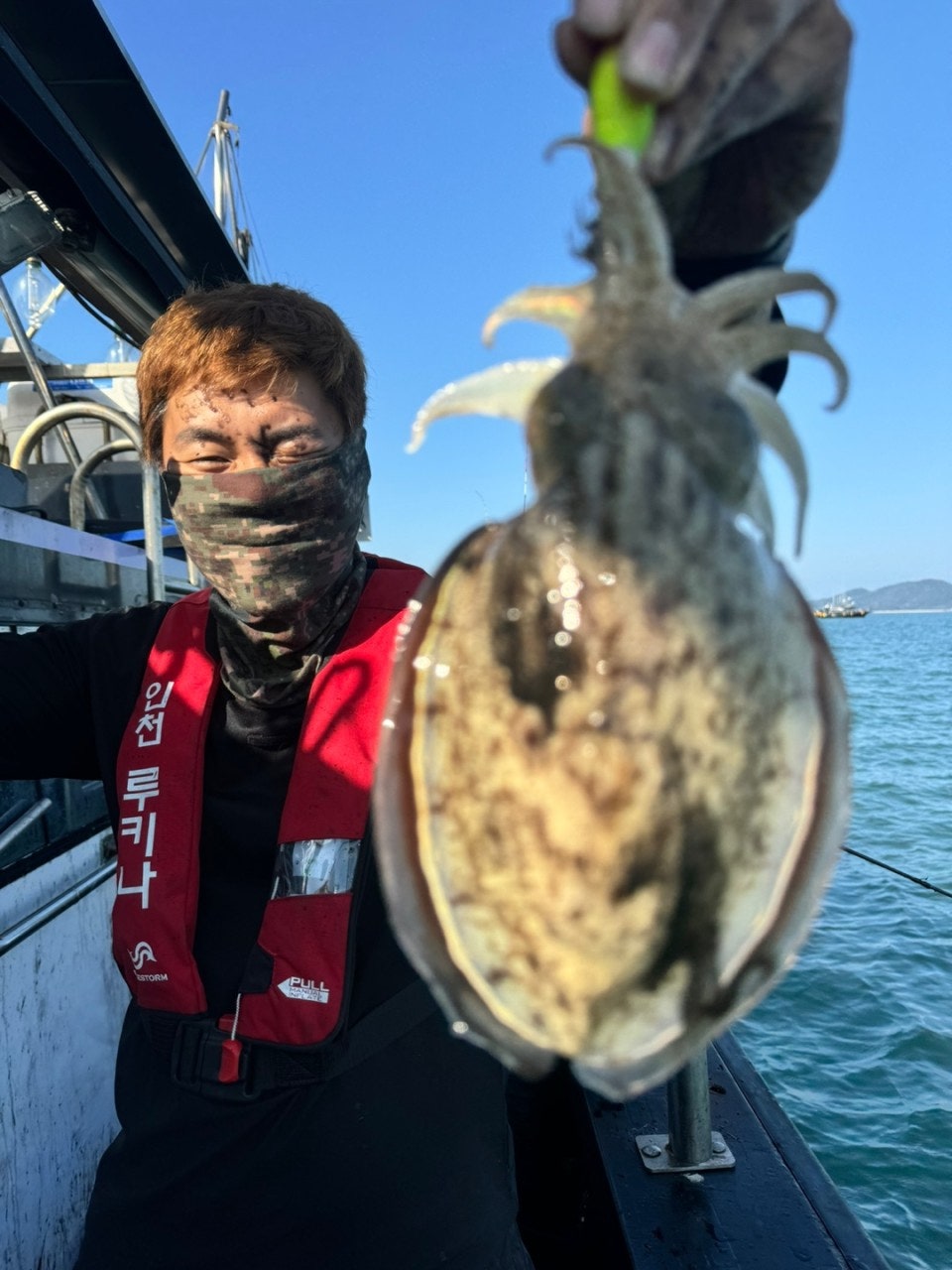 사용자가 올린 이미지