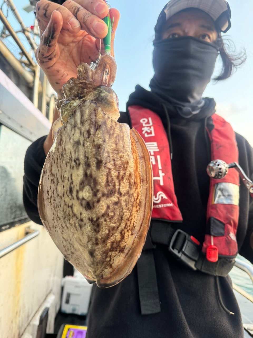 사용자가 올린 이미지