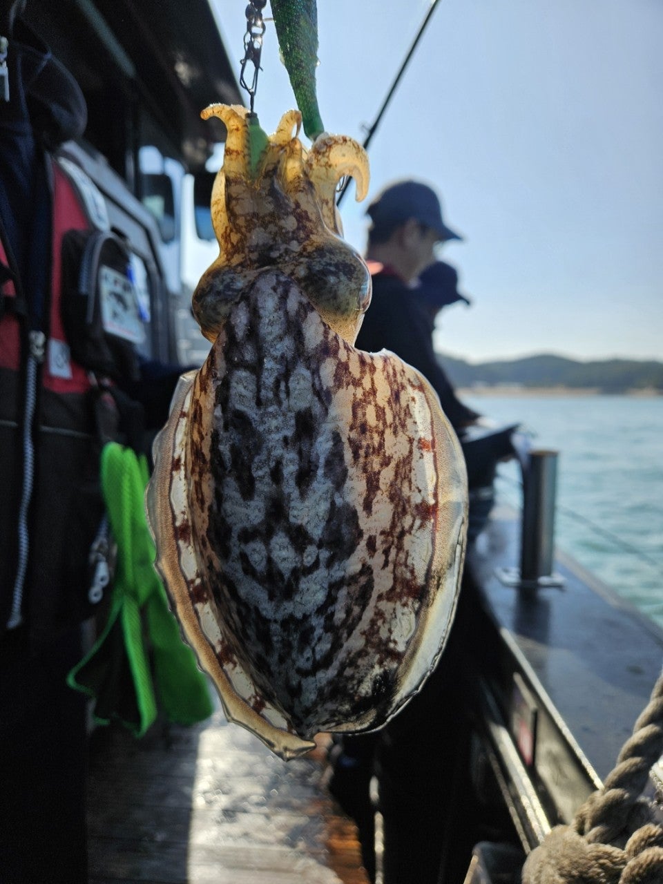 사용자가 올린 이미지