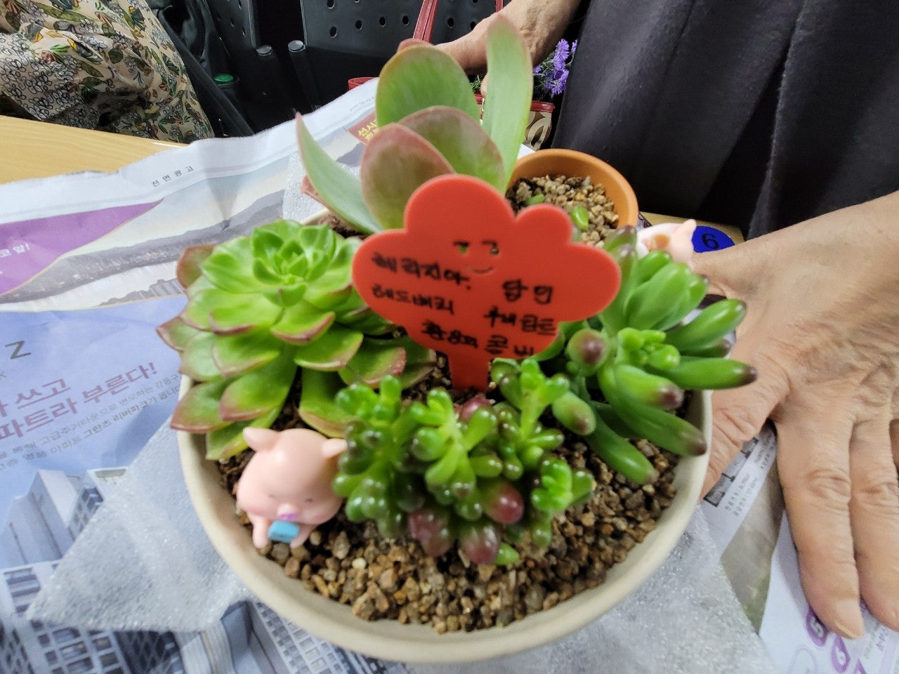 사용자가 올린 이미지