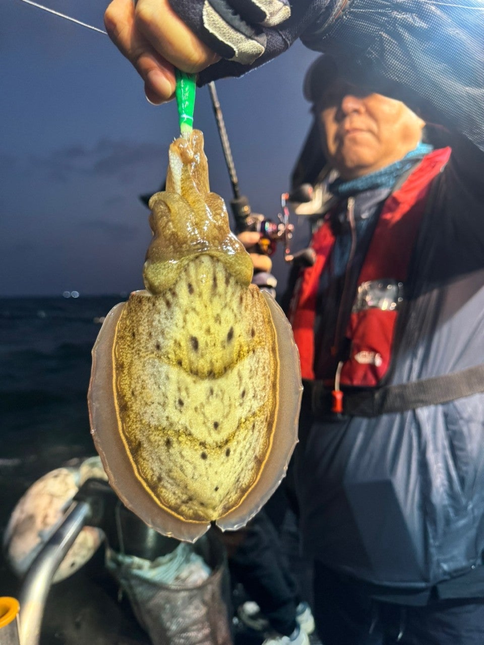 사용자가 올린 이미지