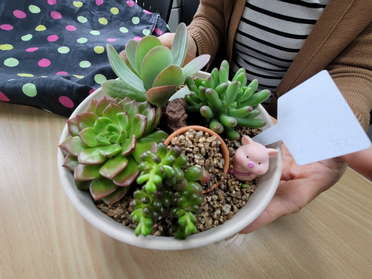 사용자가 올린 이미지