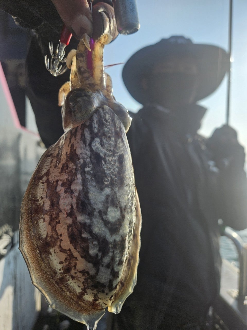 사용자가 올린 이미지