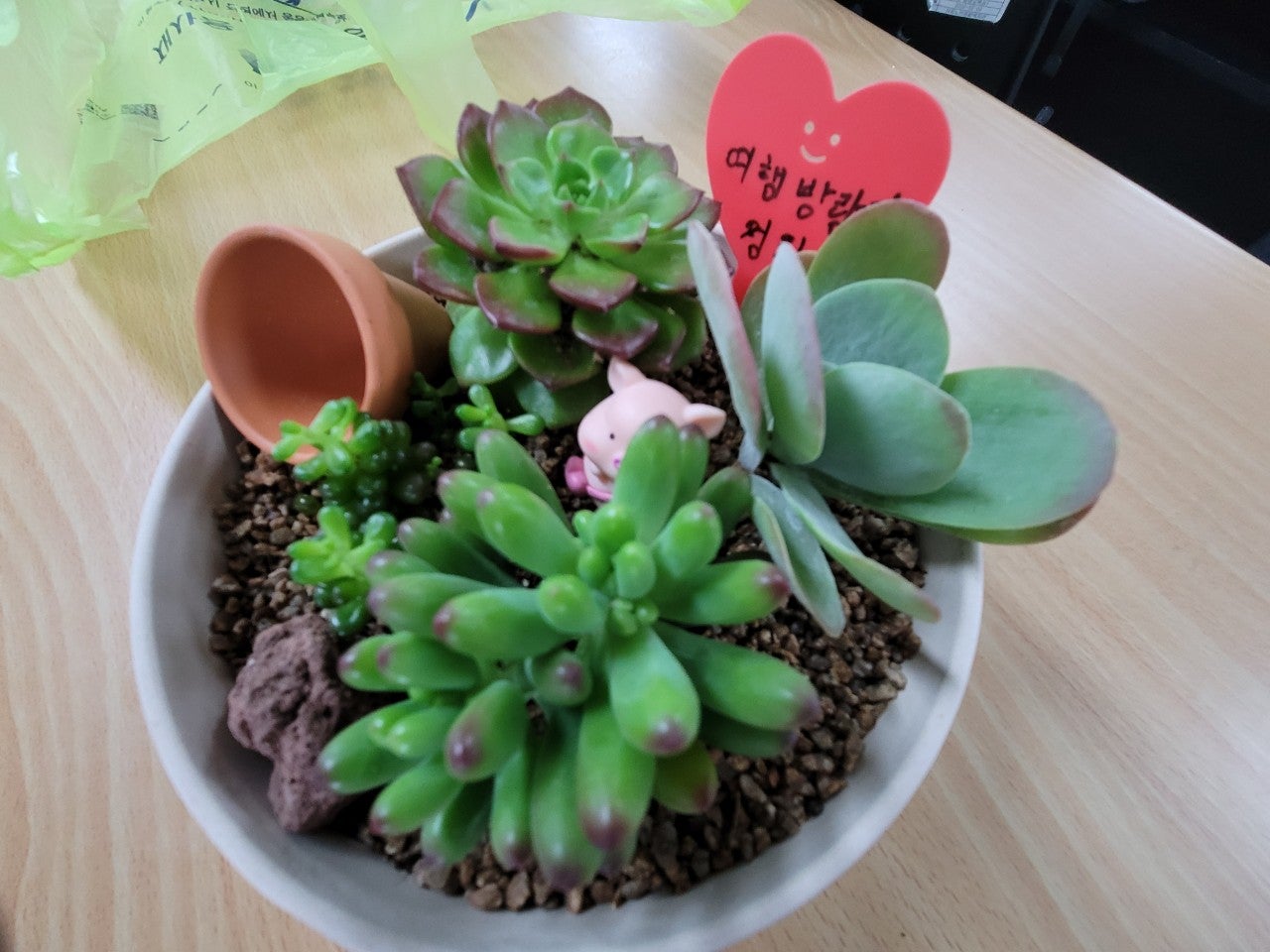 사용자가 올린 이미지