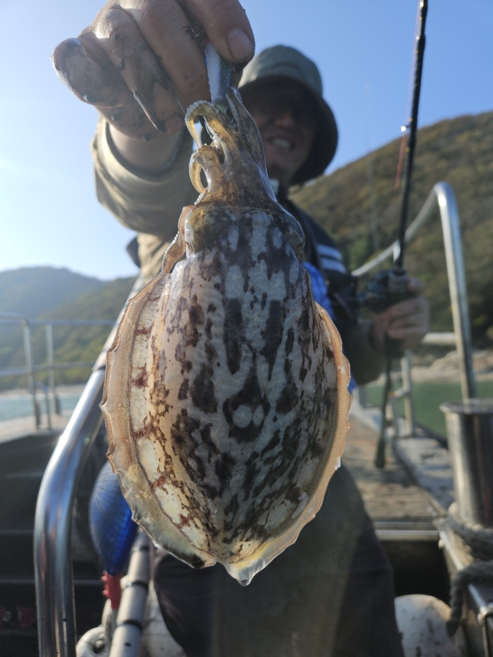 사용자가 올린 이미지