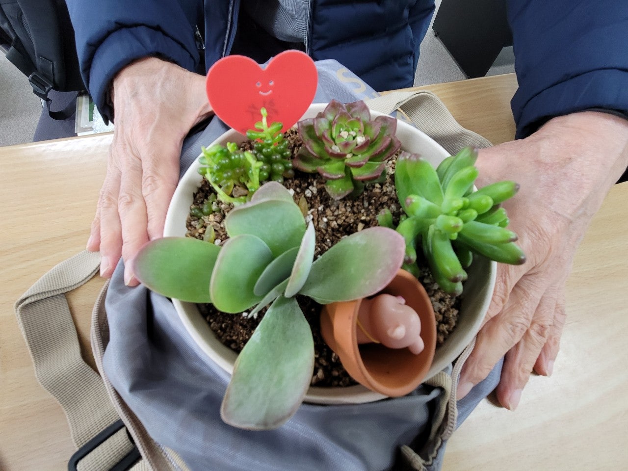 사용자가 올린 이미지