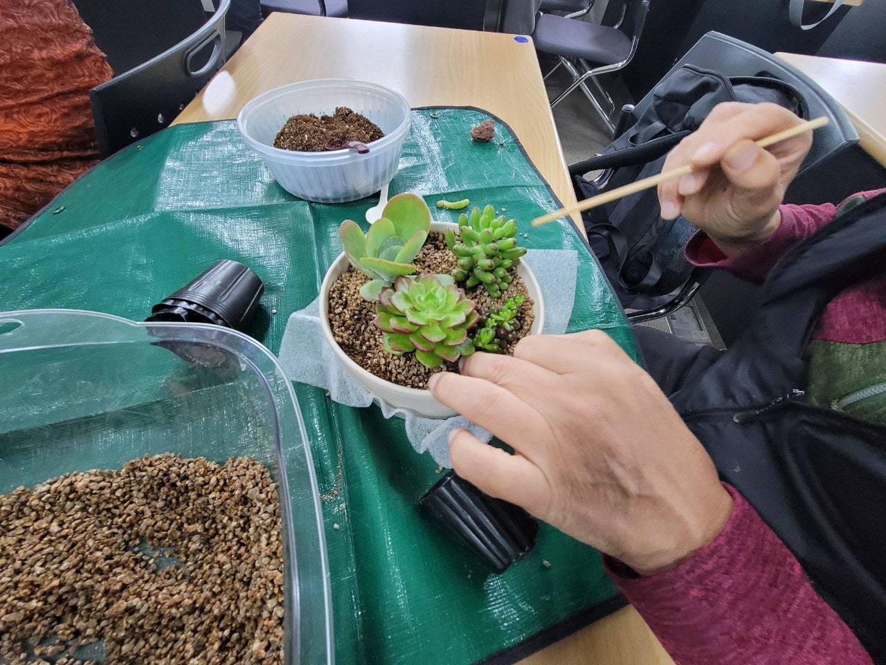 사용자가 올린 이미지