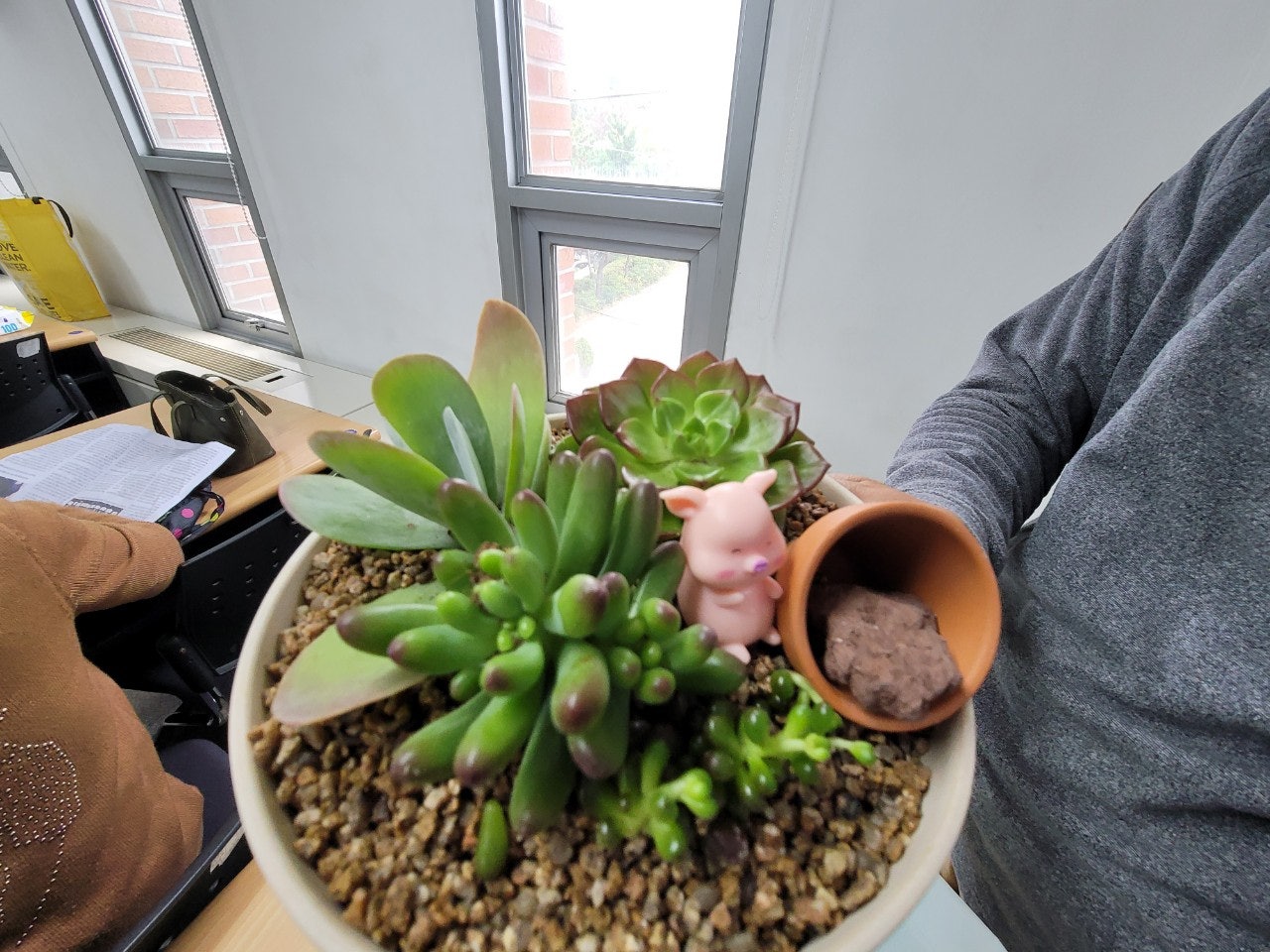 사용자가 올린 이미지