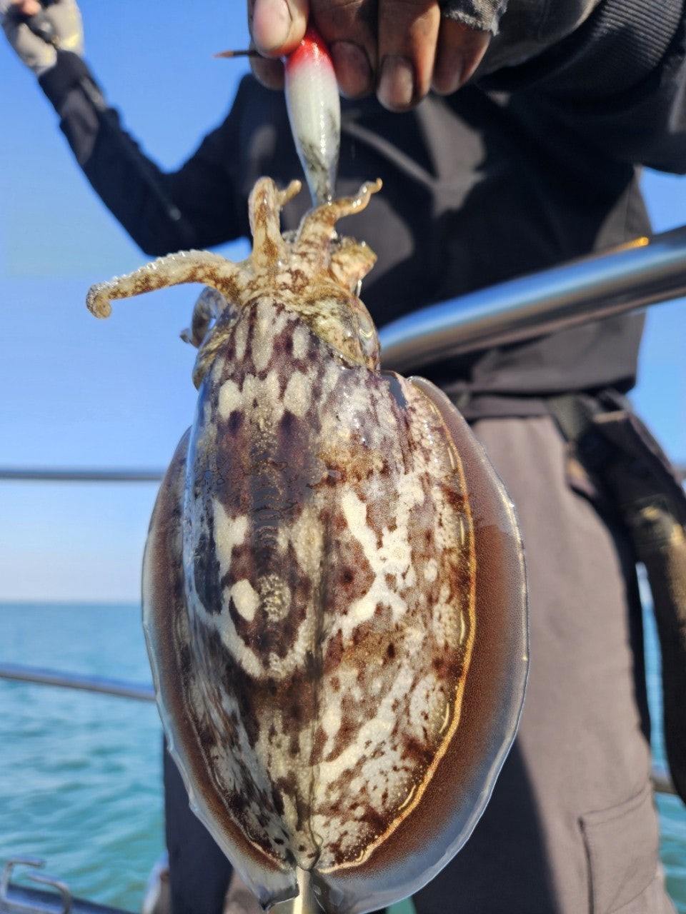 사용자가 올린 이미지