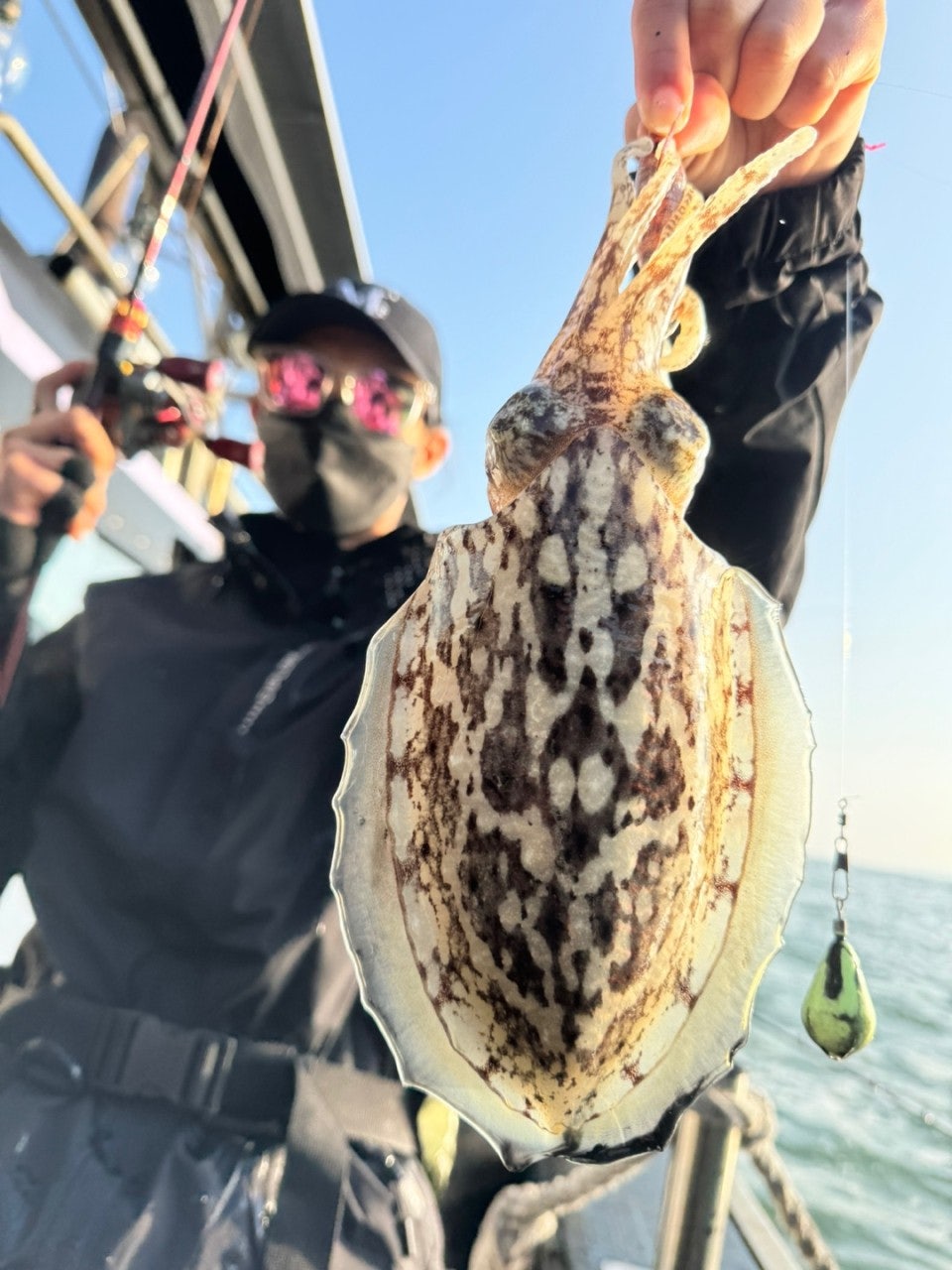 사용자가 올린 이미지