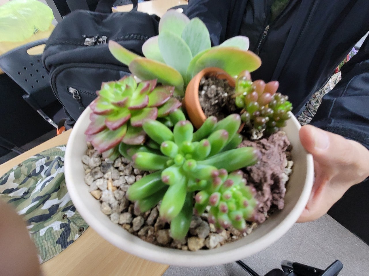 사용자가 올린 이미지